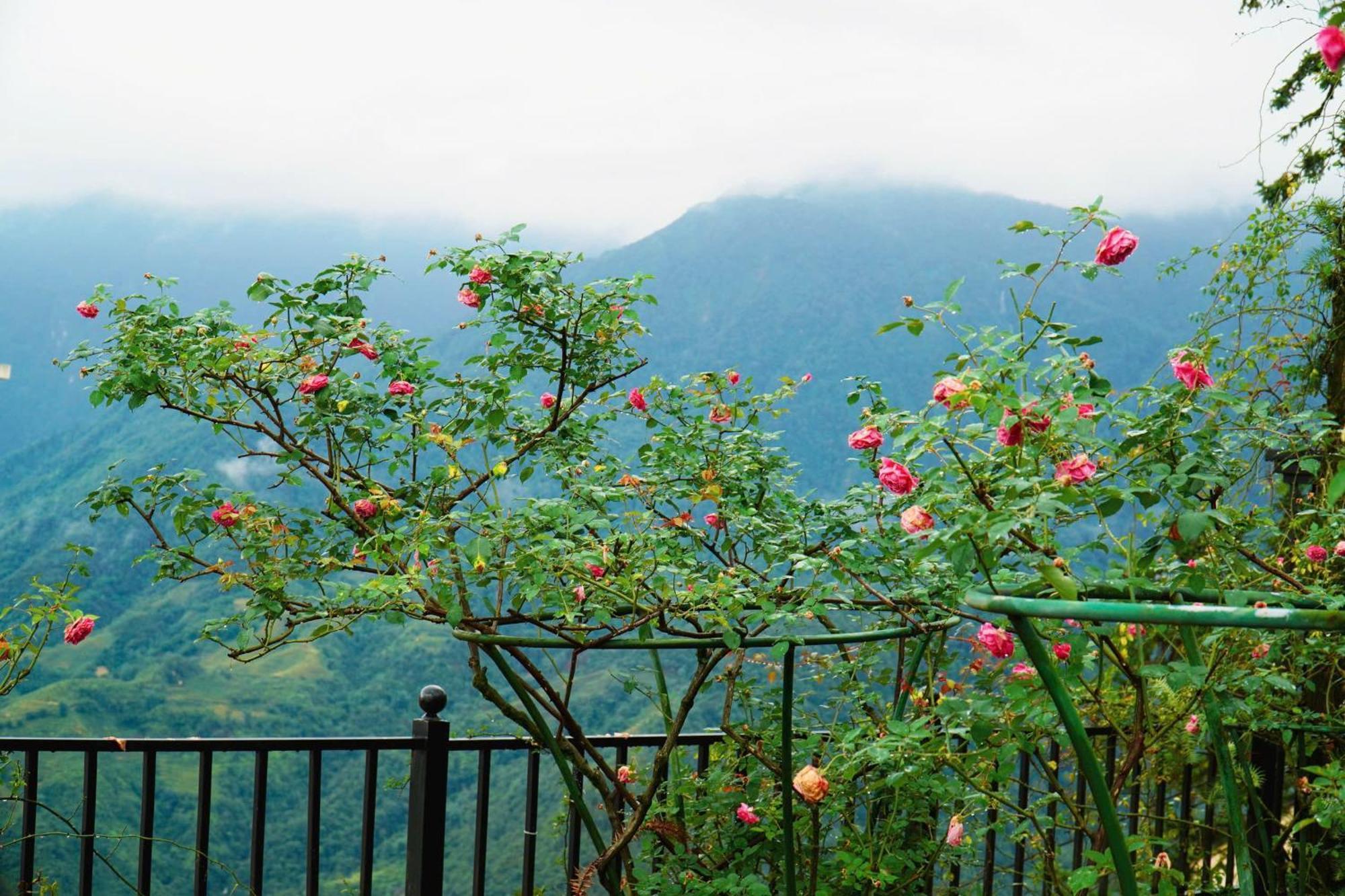 Sapa Highland Resort & Spa Екстериор снимка